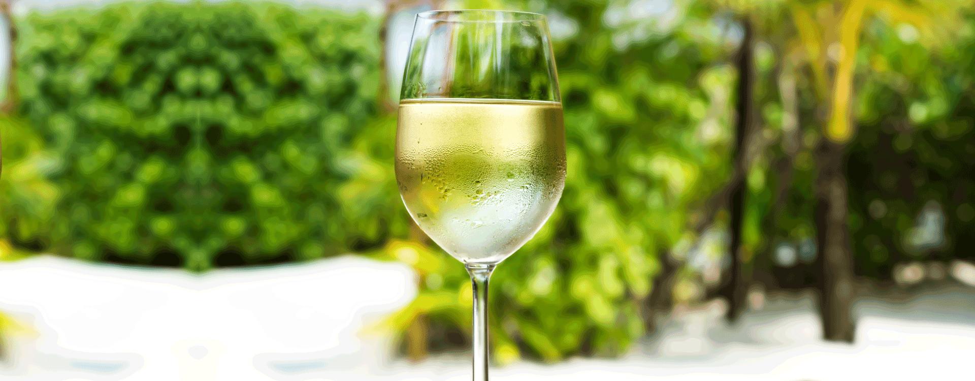 Imagem | Blog - Você sabe qual a taça ideal para o vinho branco?