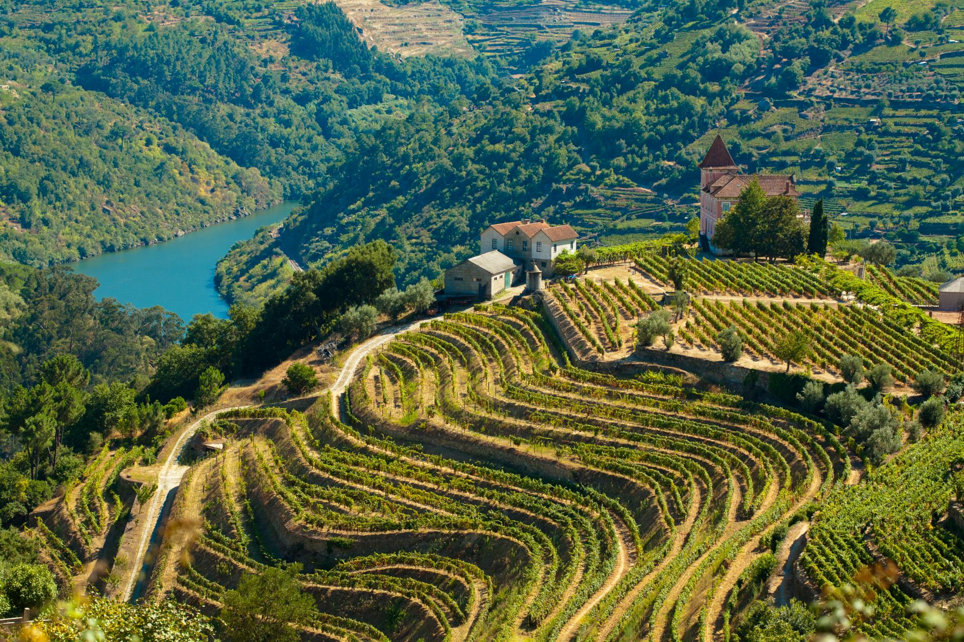 Imagem | Região Douro